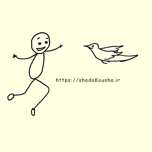 جلسه 8 سوگ پت